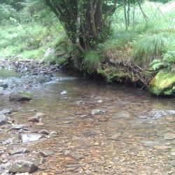 渓流ベイトフィネス第２回戦